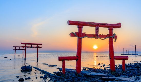 大鱼神社的海中鸟居