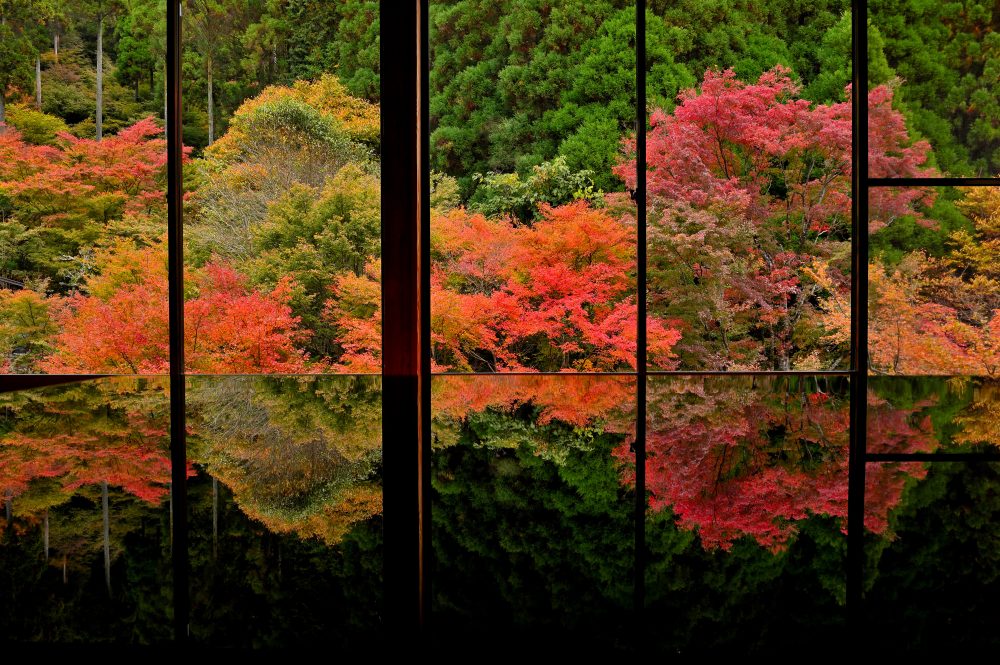 環境芸術の森