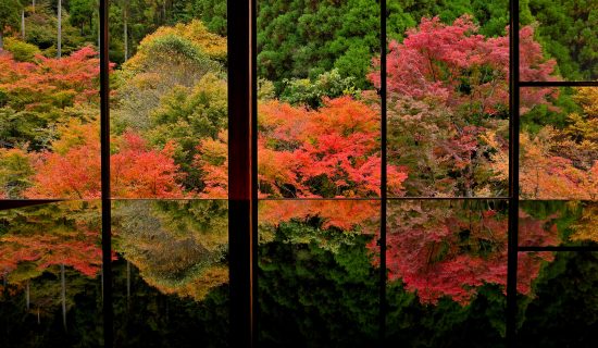 環境芸術の森